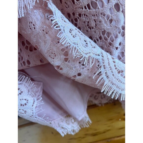 BB DAKOTA Sleek &Sixy Women's Lost in Lace Shift Dress L - Picture 4 of 6